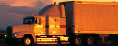 Our fleet of refrigerated trucks deliver from LA to NYC.